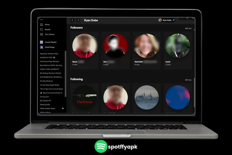 Friend Activity Feed in spotify for pc