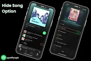 spotify Hidden/Snooze Button
