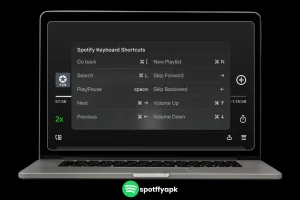 Keyboard Shortcuts in spotify pc
