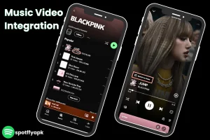 spotify Music Video Integration