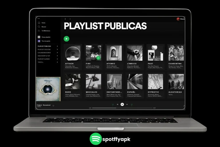 Playlist Folders in spotify for oc