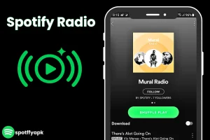Spotify Radio