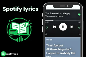 spotify lyrics and stories