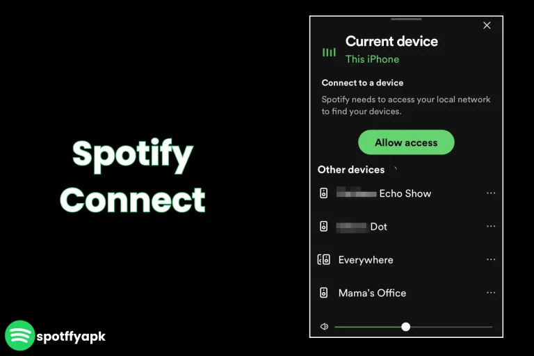 Spotify Connect