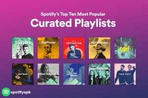 spotify Curated Playlists