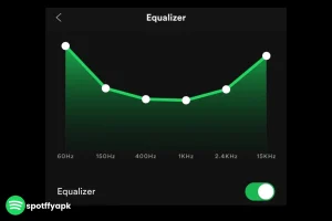 equilizer in Spotify Premium MOD APK