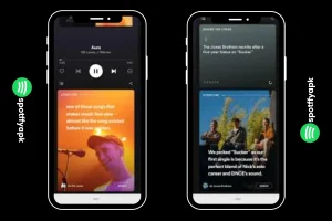 Lyrics and Storyline feature in spotify