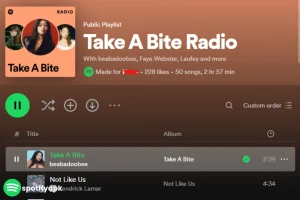 Spotify Radio