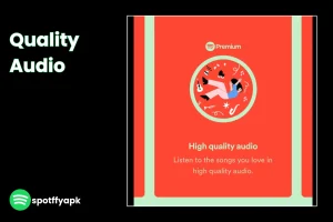 HD Quality Audio in spotify