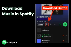Save Music Offline in spotify